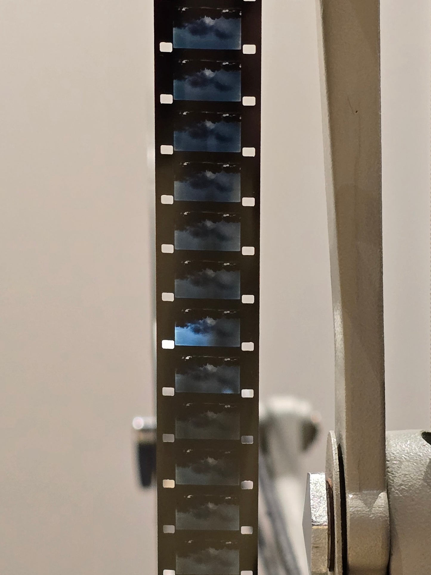 HOME MOVIE DAY GRATIS DIGITAL DOWNLOAD