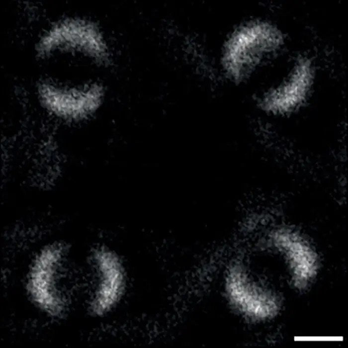 Quantum Artistry: Shining Light On Photons (Gratis Download)